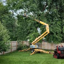 Best Storm Damage Tree Cleanup  in Brunswick, OH